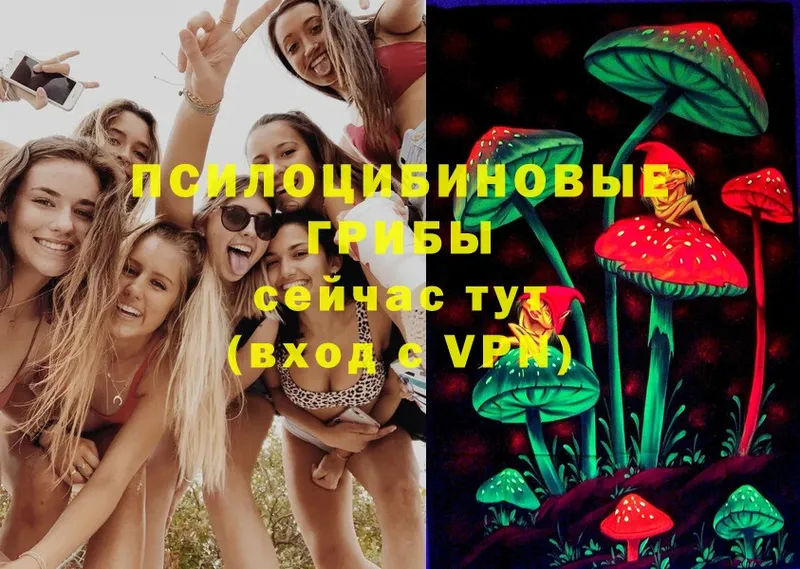 Галлюциногенные грибы MAGIC MUSHROOMS  нарко площадка наркотические препараты  Новоузенск 